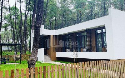 For Sale House - Villa, in Daba Shekvetili