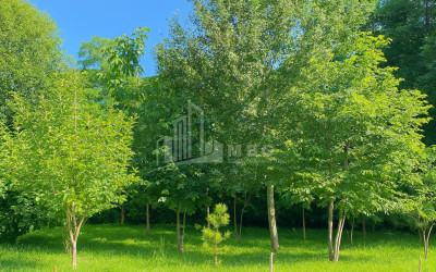 იყიდება ბიზნესი კომერციული ფართი თელავი კახეთი