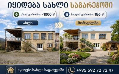 იყიდება ძველი აშენებული სახლი - აგარაკი საგარეჯოში