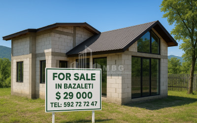 For Sale House Villa Dusheti Mtskheta   Mtianeti