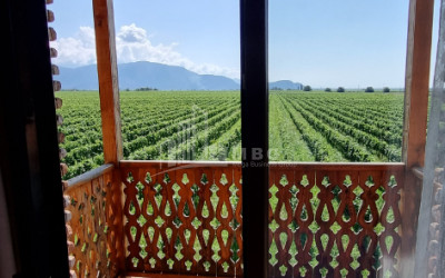 For Sale Commercial Kvareli City Kvareli Kakheti