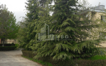 For Sale Residential Land, in Tabakhmela