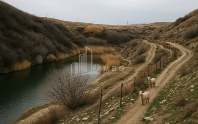 For Sale Land Gachiani Gardabani Kvemo Kartli