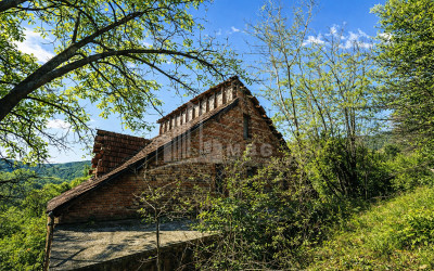 For Sale Old building House - Villa In Sagarejo