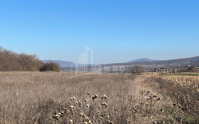 Продается Земля Базалети Душети Мцхета   Мтианети