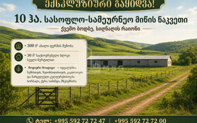 იყიდება საძოვრები - საფერმერო მიწის ნაკვეთი ქვემო ბოდბეში, სიღნაღი