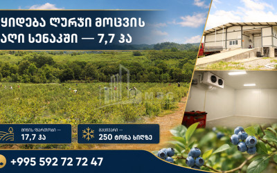 For Sale Orchards Land In Senaki