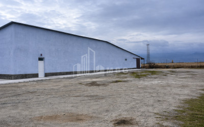 For Sale Refrigerator-freezer area Commercial In Ruisi, Kareli