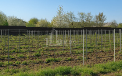 იყიდება კომერციული ფართი ძეგვი მცხეთა მცხეთა   მთიანეთი