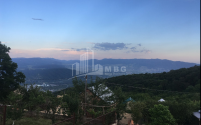 For Sale House - Villa, in Dusheti