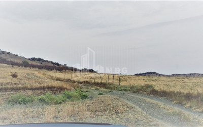 For Sale Land, Kvemo Bodbe, Signagi Municipality, Municipalities of Kakheti