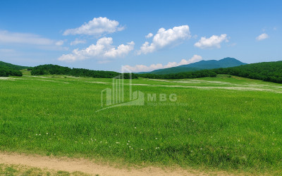 Продается Земля Гомбори Сагареджо Кахети