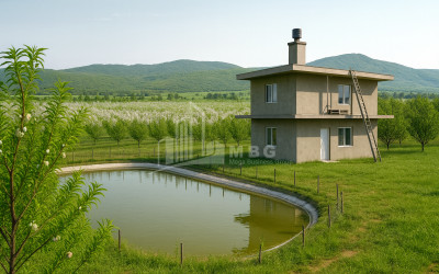For Sale Land Bolnisi Kvemo Kartli