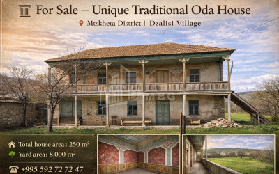 For Sale Old building House - Villa In Dzalisi, Mtskheta