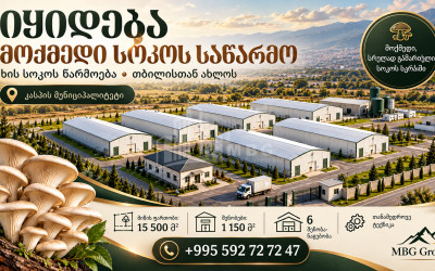 Продается Грибная фабрика Коммерческий В Оками, Каспси