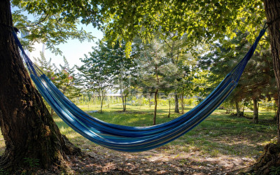 Business for sale Commercial Telavi Kakheti