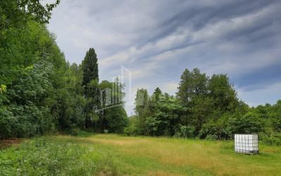 იყიდება კომერციული ფართი თელავი კახეთი