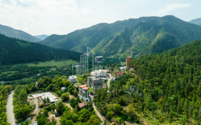 For Sale Commercial Likani Borjomi Samtskhe   Javakheti