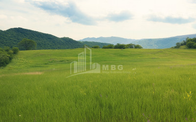 Продается Земля Гомбори Сагареджо Кахети