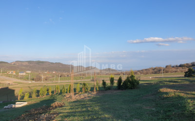 For Sale House Villa Orbeti Tetritskaro Kvemo Kartli