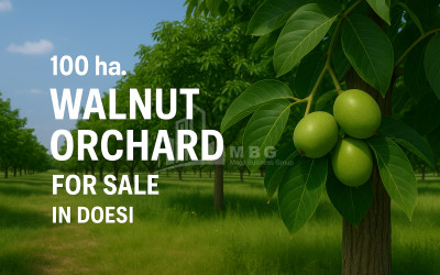 For Sale Land Does Kaspi Shida Kartli