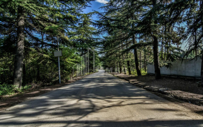 For Sale House - Villa, in Okrokana