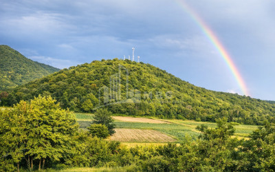 Business for sale Commercial Telavi Kakheti