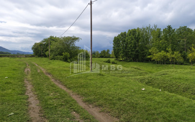 For Sale Orchards Land In Abasha
