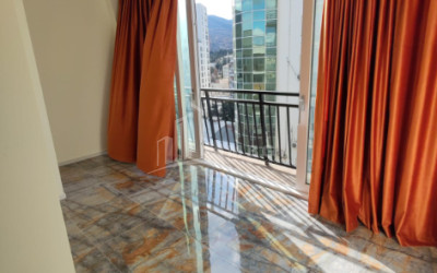 For Sale Flat I. Chavchavadze Avenue Vake Vake District Tbilisi