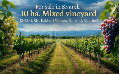 Продается Земля Кучатани Кварели Кахети