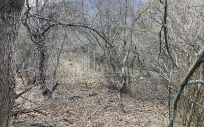 For Sale Residential Land, in Kojori