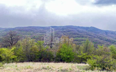 იყიდება მიწის ნაკვეთი ბურიანი მცხეთა მცხეთა   მთიანეთი