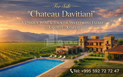 For Sale Chateau / Wine factory Commercial In the Kvareli City, Kvareli