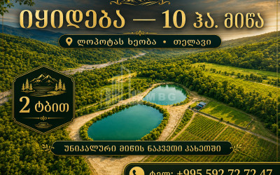 For Sale Camping / Ranch Land In Telavi