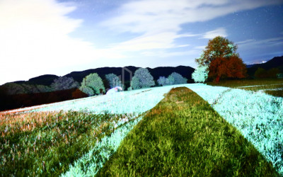 For Sale Construction - Investment Land, in Tetritskaro