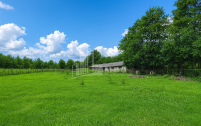 For Sale Land Chibati village Lanchkhuti Municipalities of Guria