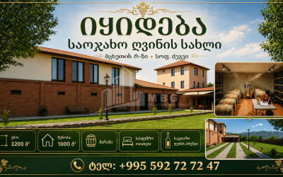 Продается Замок / Винный завод Коммерческий В Дзегви, Мцхета