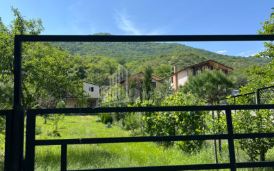 For Sale House Villa Tsilisofeli village Dusheti Mtskheta   Mtianeti