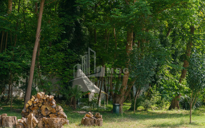 იყიდება ბიზნესი კომერციული ფართი თელავი კახეთი