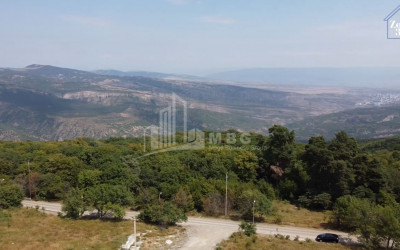 For Sale House - Villa, in Betania