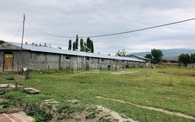 For Sale Land, Lamiskana, Kaspi Municipality, Municipalities of Shida Kartli