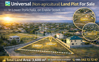 Продается Коммерческий - универсальный Земля В Поничале, Крцанисский Район