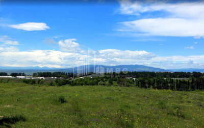 For Sale Country Land, in Victory