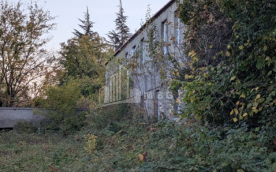 For Sale Commercial Akhmeta Kakheti