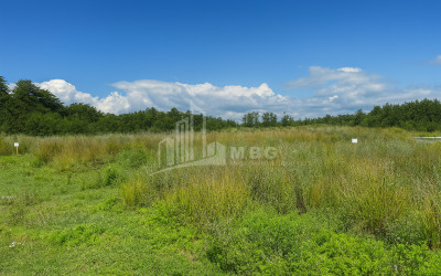 For Sale Land Daba Shekvetili Ozurgeti Municipalities of Guria