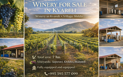 For Sale Commercial, Shilda, Kvareli, Kakheti