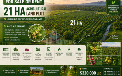 იყიდება ხეხილის ბაღი მიწის ნაკვეთი ქვემო შუხუთში, ლანჩხუთი