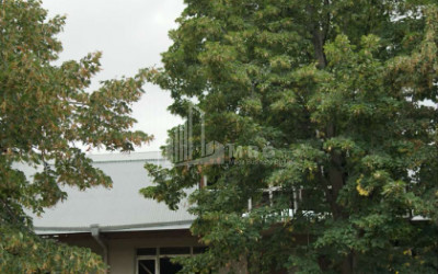 For Sale Building Commercial, in Akhaldaba