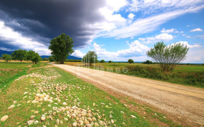 იყიდება მიწის ნაკვეთი მანავი საგარეჯო კახეთი