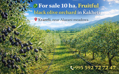 Продается Дом Вилла Квибиси Боржоми Самцхе   Джавахети